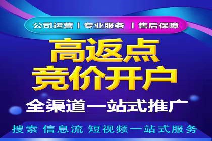 成功案例：托管SEM竞价在金融行业的应用